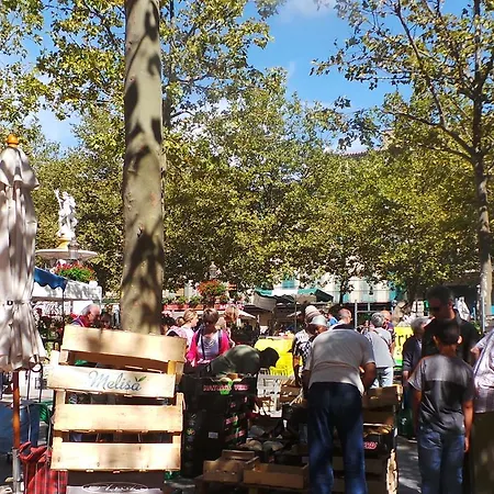 Les 5 Lys - Quartier La Bastide *