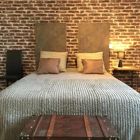 Les 5 Lys - Quartier La Bastide * Carcassonne