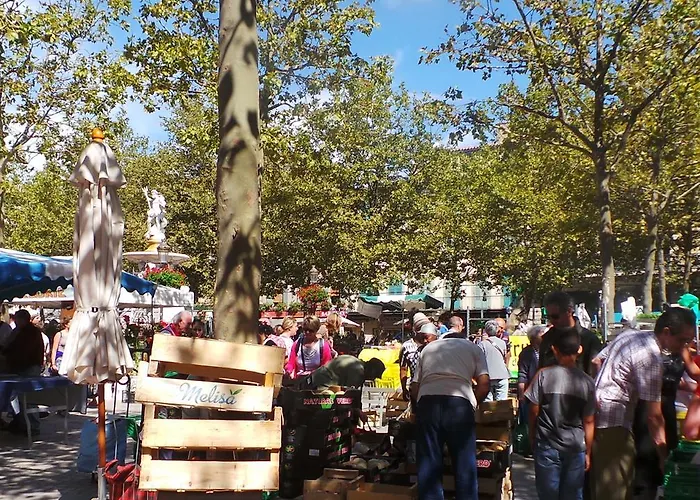 Les 5 Lys - Quartier La Bastide *