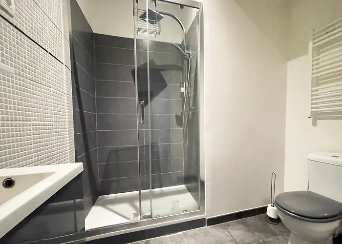 Les 5 Lys - Quartier La Bastide * Carcassonne