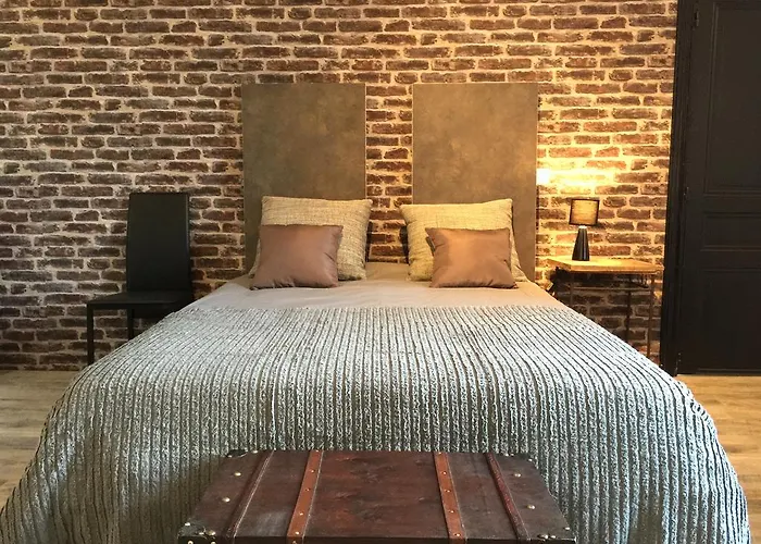 Les 5 Lys - Quartier La Bastide * Carcassonne